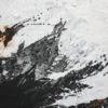 Detailaufnahme aus „Neubeginn Nr. 5" mit warmen Rostakzenten inmitten der schwarz-weißen Maltechnik